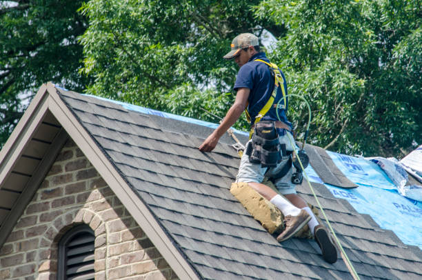 Best Roof Gutter Cleaning  in Farmington, MS